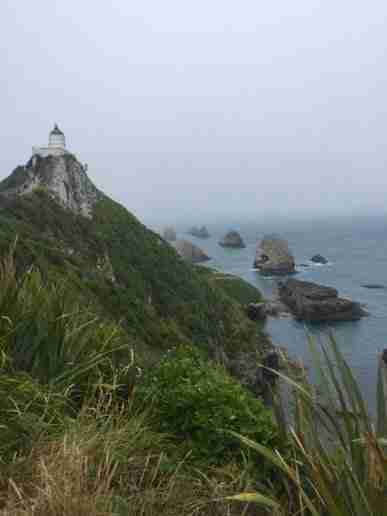 Nouvelle-Zélande-Catins