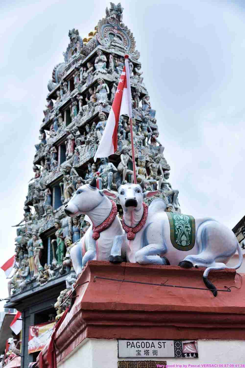 Singapour-temple-indien-Sri-Mariamman