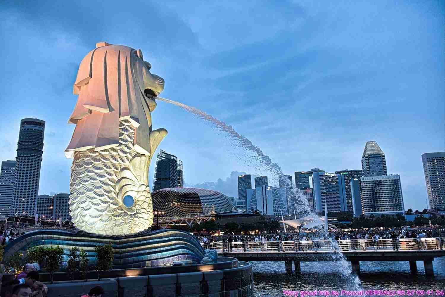 Vue de Singapour avec le Merlion en premier plan.