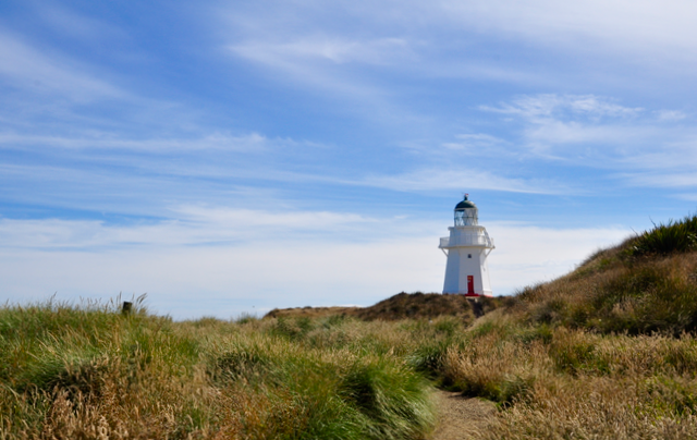 Nouvelle-Zélande-Catins