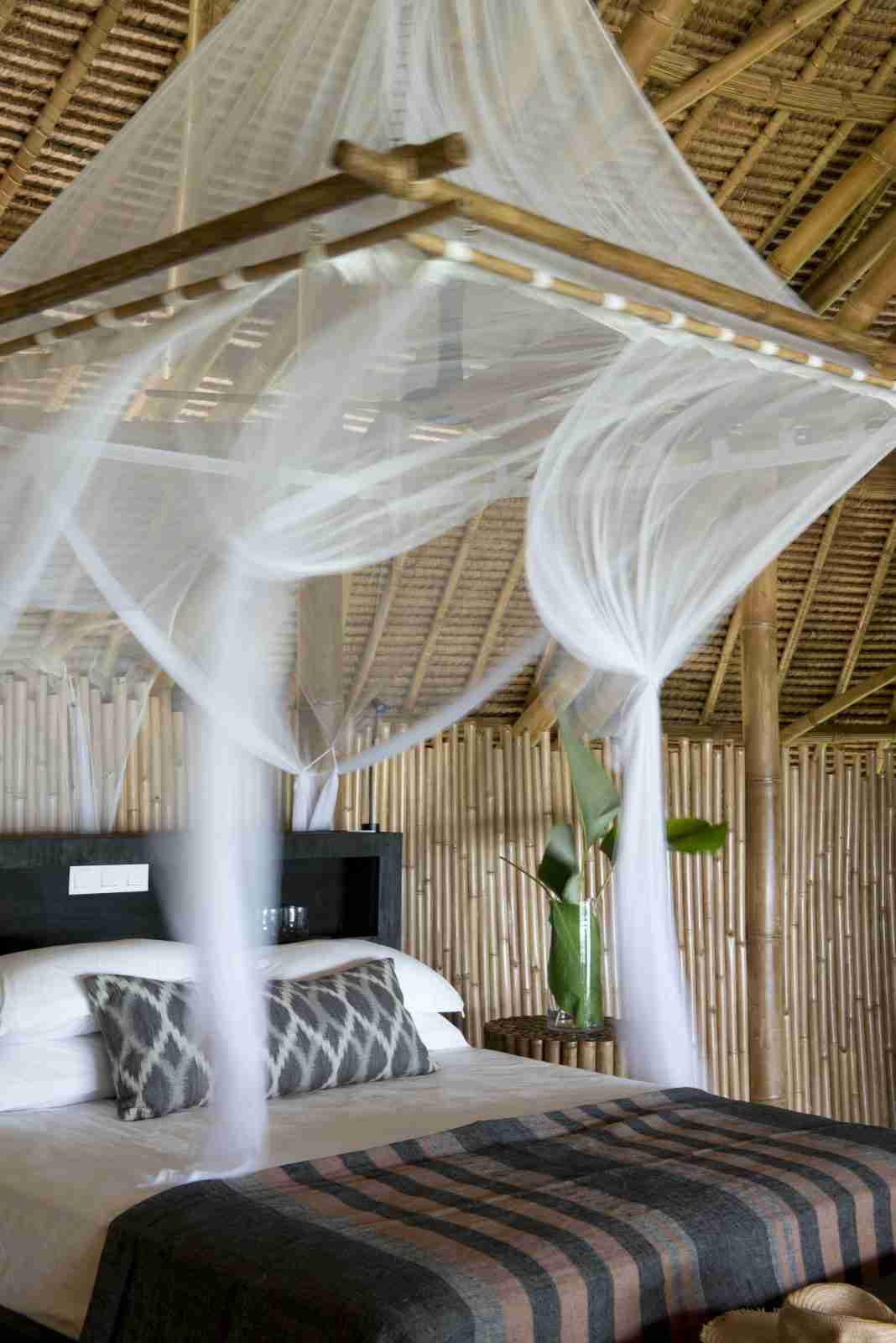 cempedak-ile-privee-lit