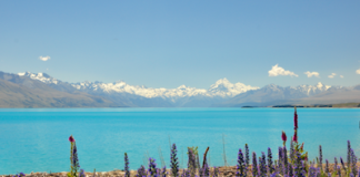 Nouvelle-Zélande-pukaki