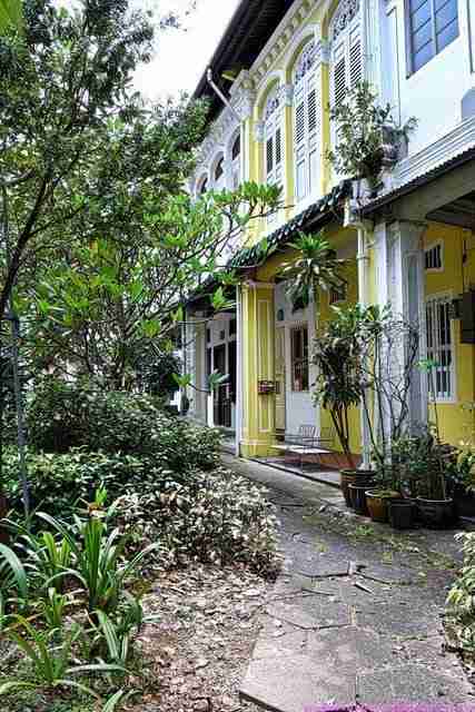 Shophouses colorées et végétation luxuriante