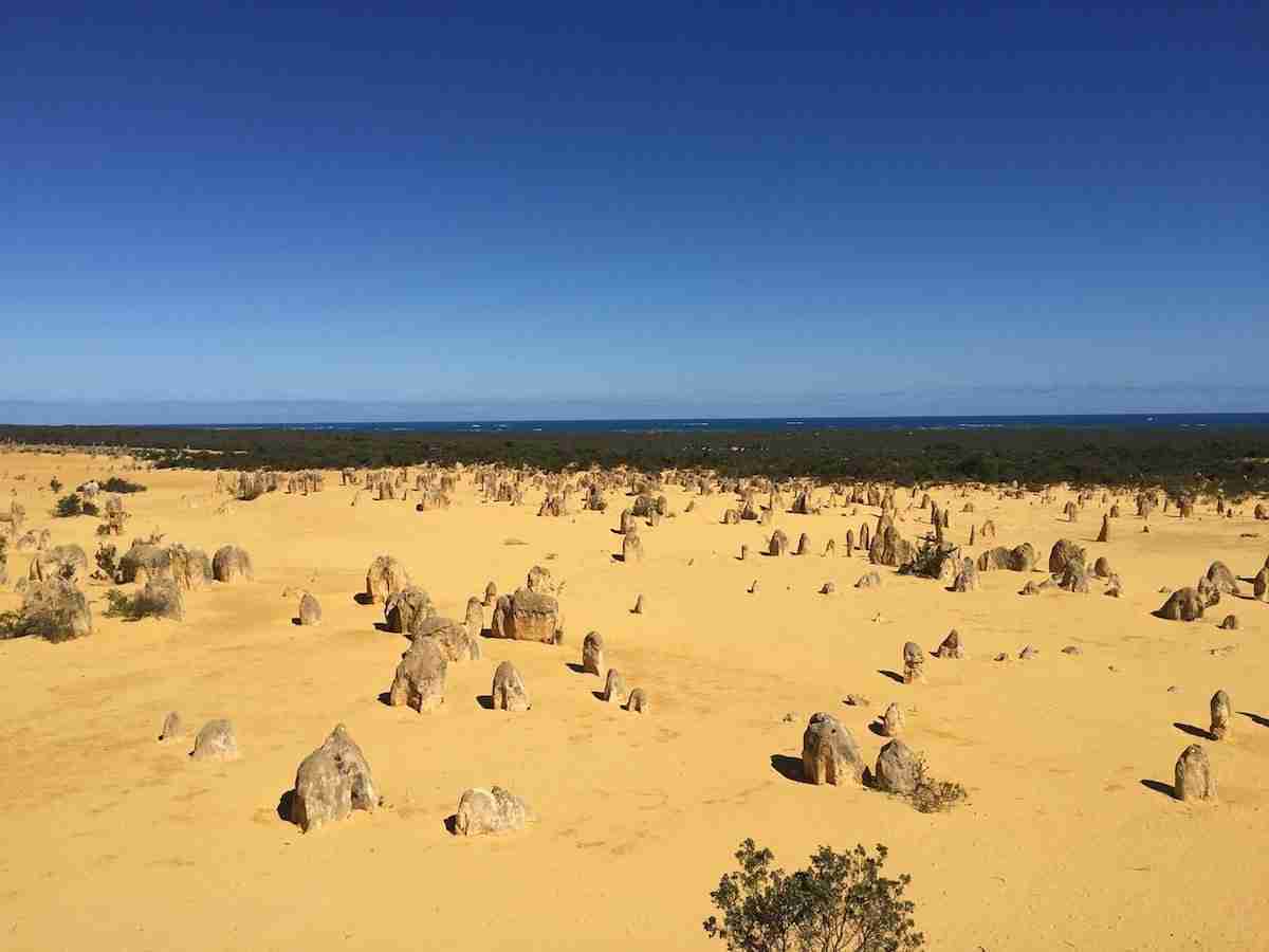 vue du desert du Pinnacles. Formations rocheuses sur sable jaune avec la mer dans le lointain. Voyage en Australie de l'Ouest