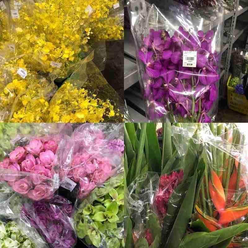 Orchidees, fleurs de curcuma et Heliconia coupées-que rapporter de Singapour