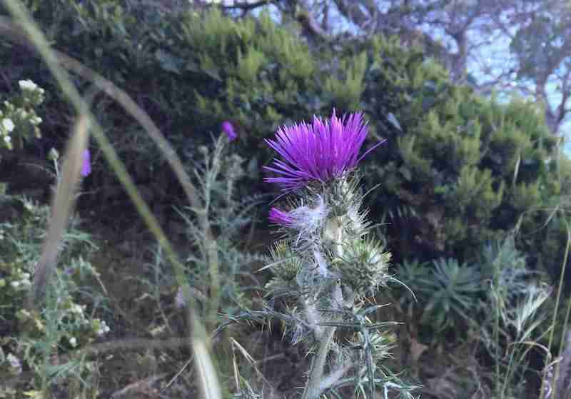 Photo de la belle-mère en famille
