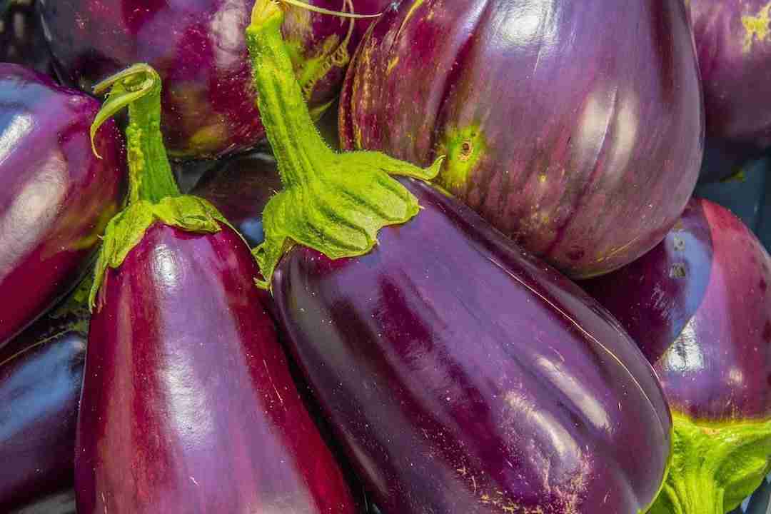 recette d'été rafraîchissante :étal d'aubergines violettes brillantes