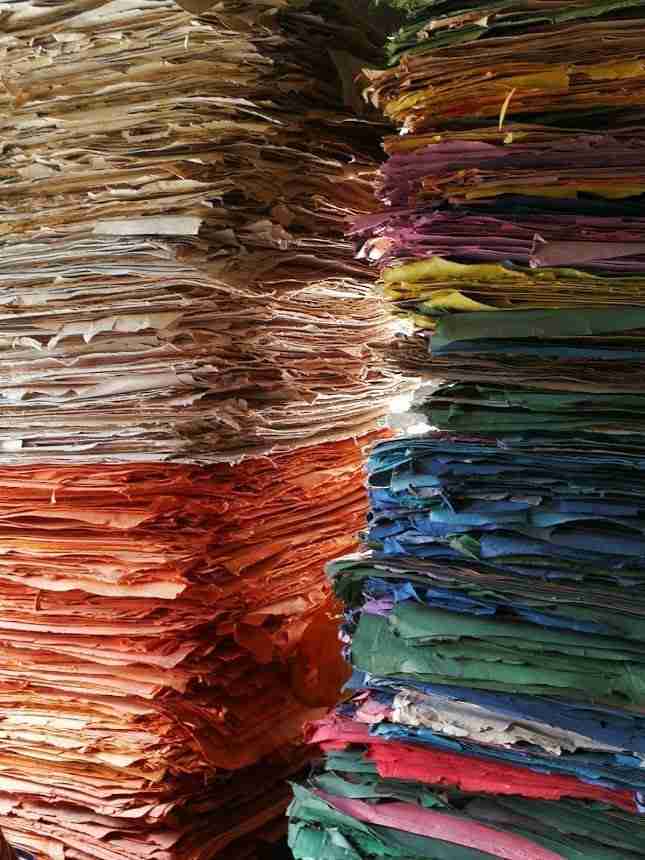 papiers multicolores en crotte d'éléphant