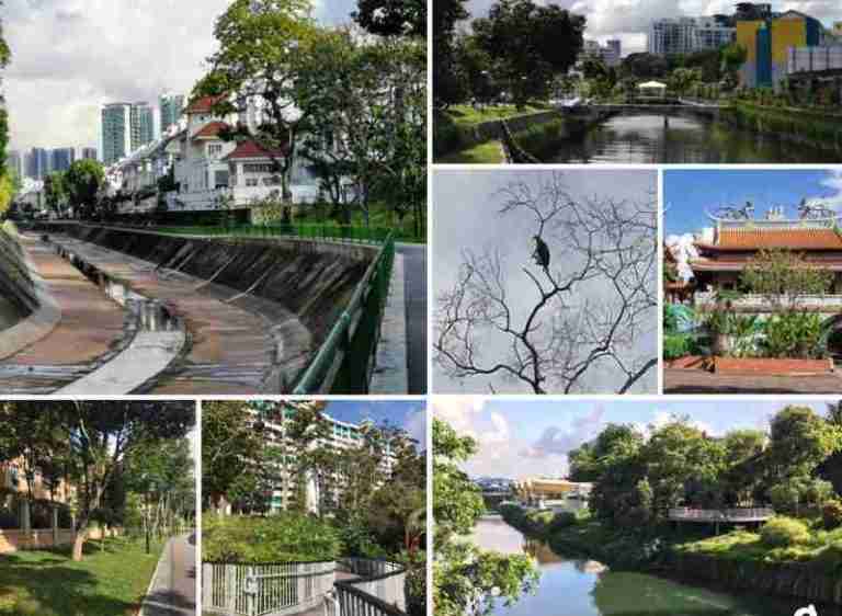 Balade de Buona Vista à Haw Par Villa : marche ou vélo