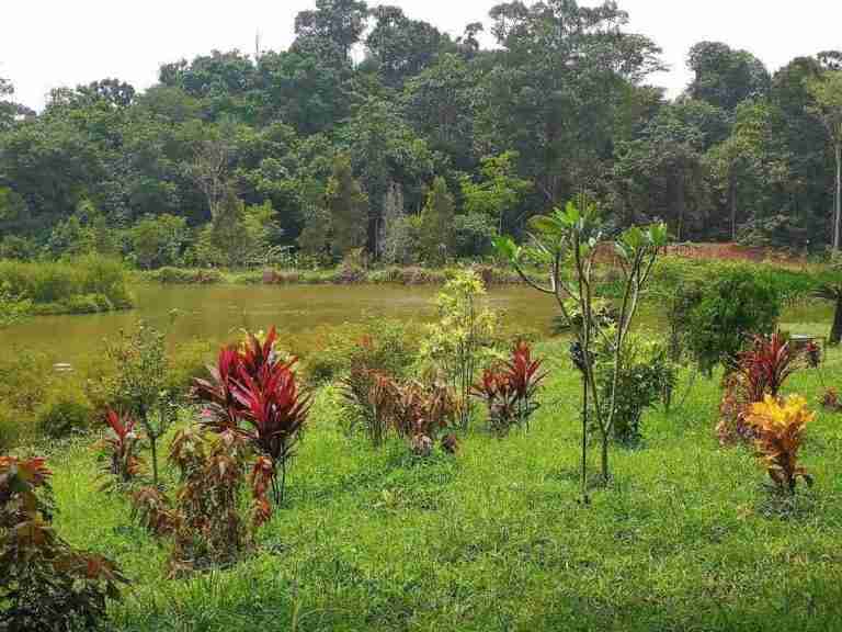 Balade à Pulau Ubin