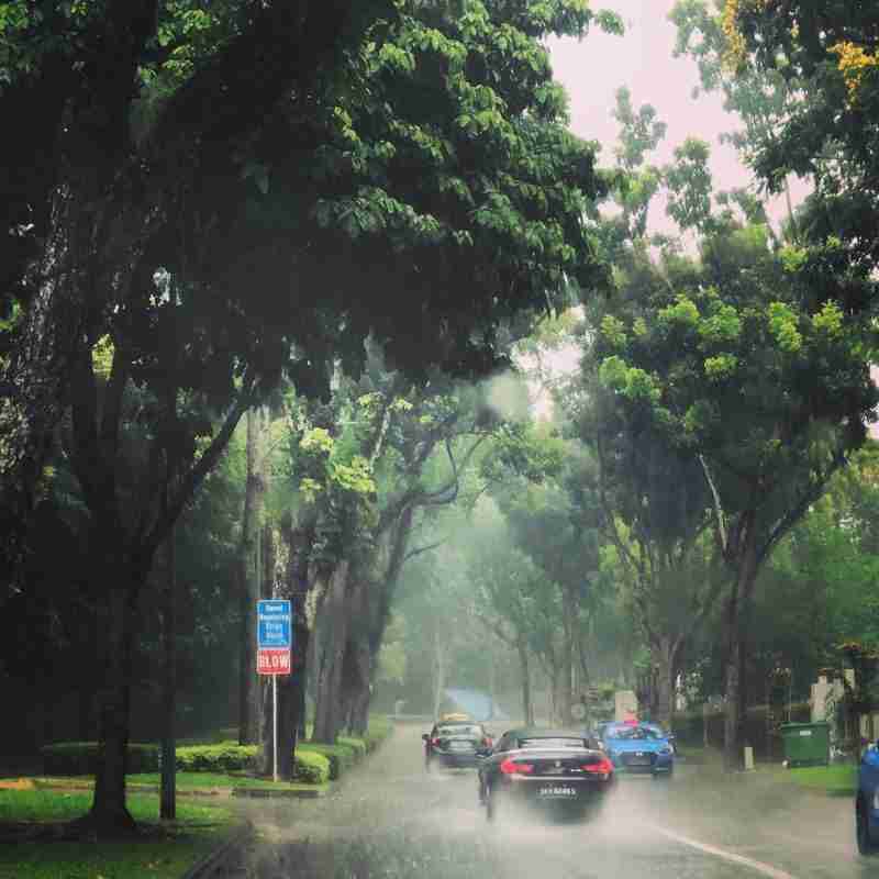 Pluie sur les raintrees de Nassim Road