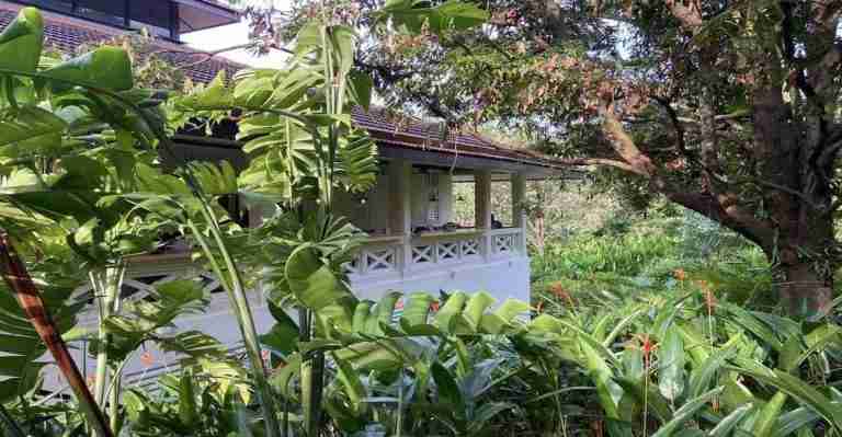 Déjeuner au vert : deux nouveaux spots à Fort Canning