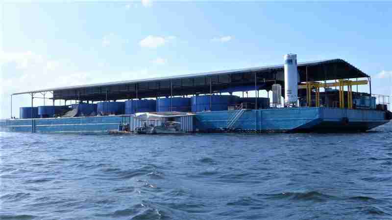 Blucurrent pisciculture Singapour