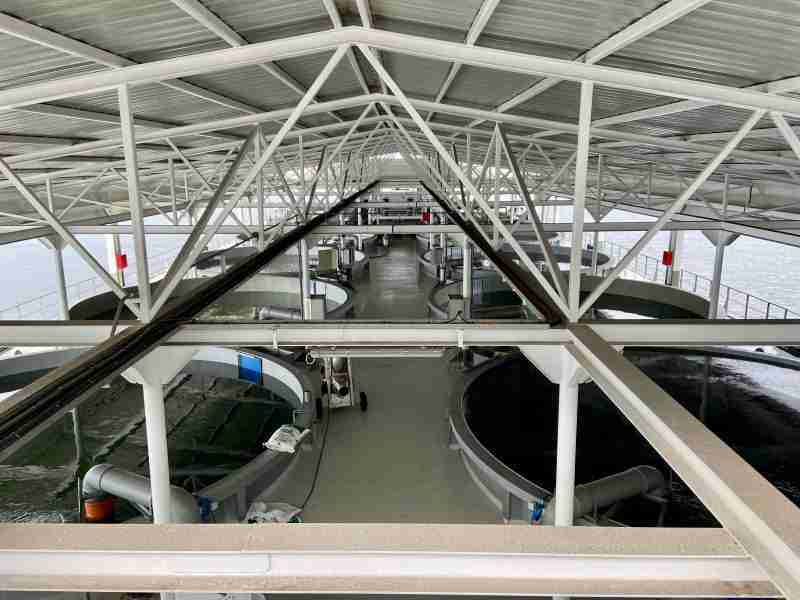 Bassins flottants pisciculture bio blucurrent