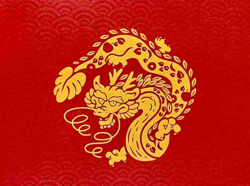 龙 C’est l’année du dragon: allumez le feu!