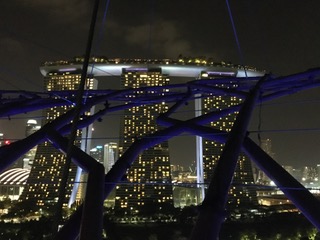 vue mbs depuis le supertree cafe