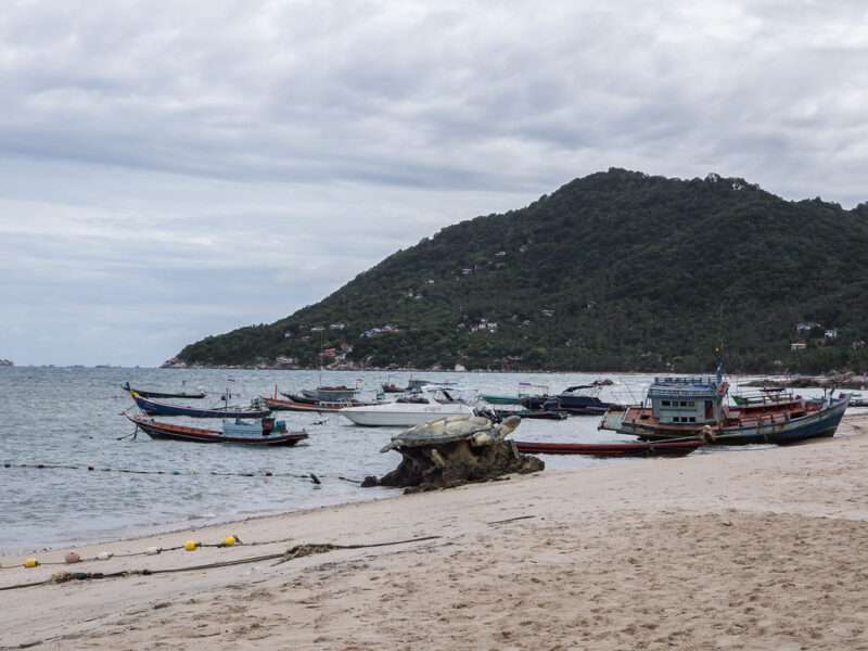 Koh Tao